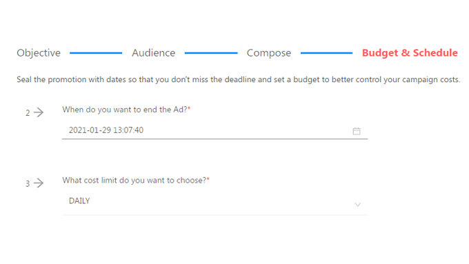 Budget and Schedule for Social Ads