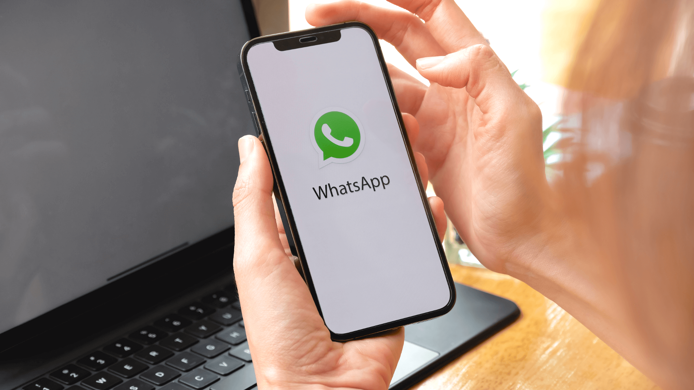 building a brand presence on whatsapp